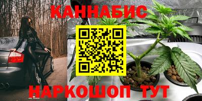 дживик Аргун