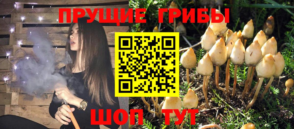 Раменское  Псилоцибиновые грибы мухоморы  Вход с VPN 