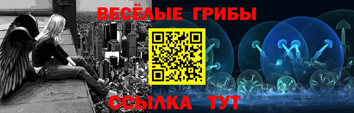 где продают наркотики  Раменское  Галлюциногенные грибы Psilocybe  Галлюциногенные грибы прущие грибы 